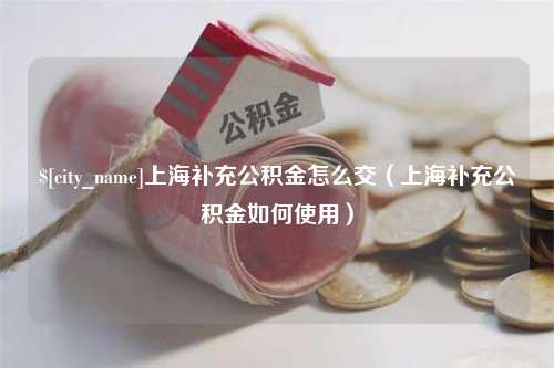 吉安上海补充公积金怎么交（上海补充公积金如何使用）